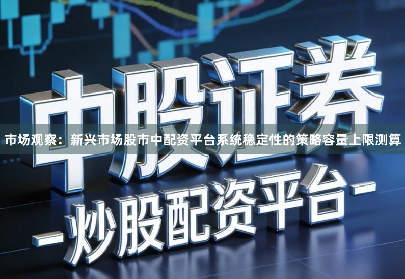 市场观察：新兴市场股市中配资平台系统稳定性的策略容量上限测算